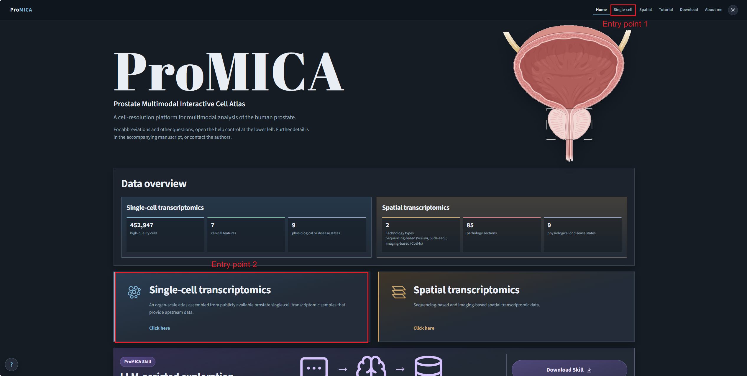 Home page with two marked entry points for the single-cell explorer
