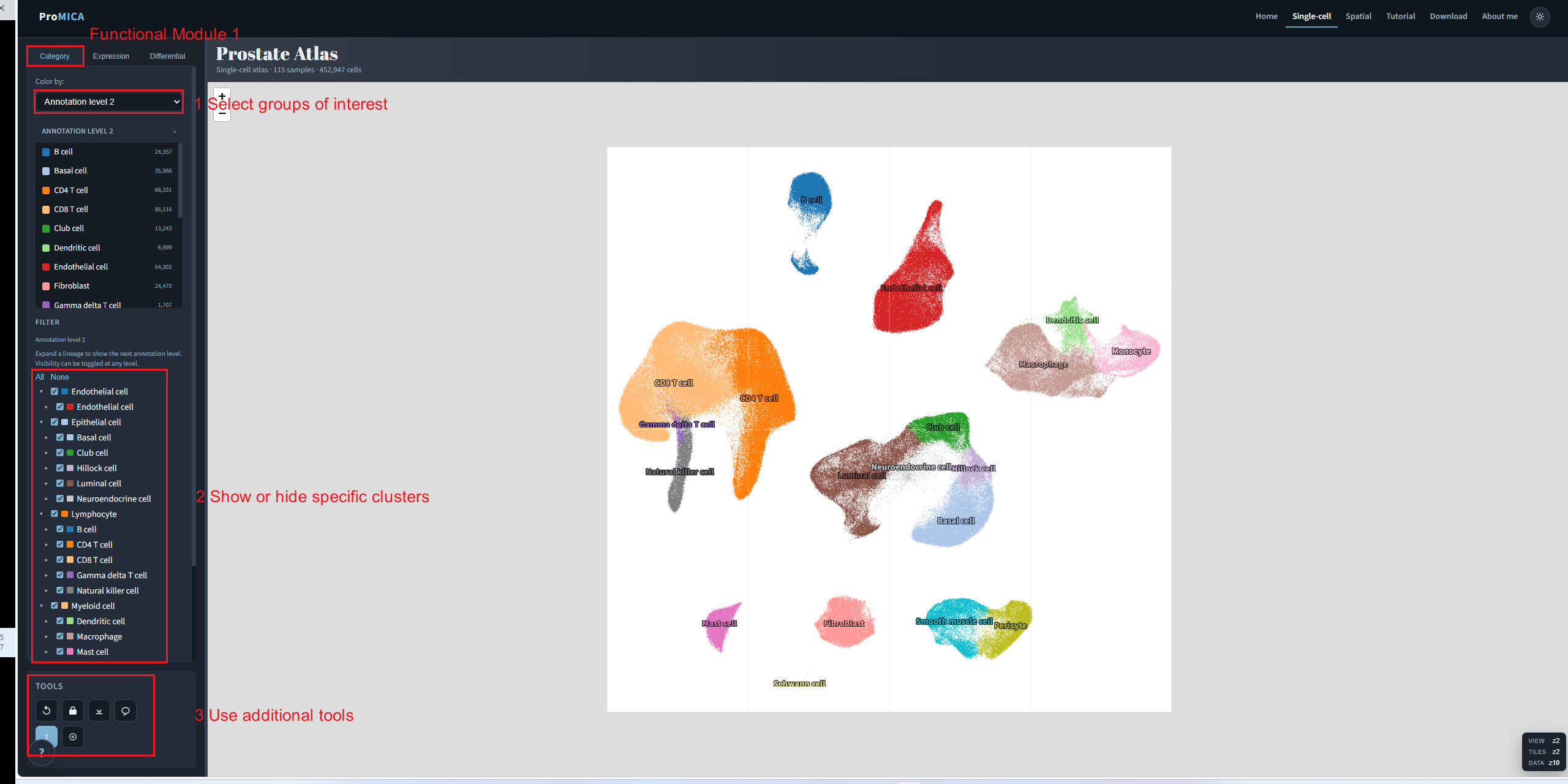 Category tab with color-by, cluster filter, and map tools marked
