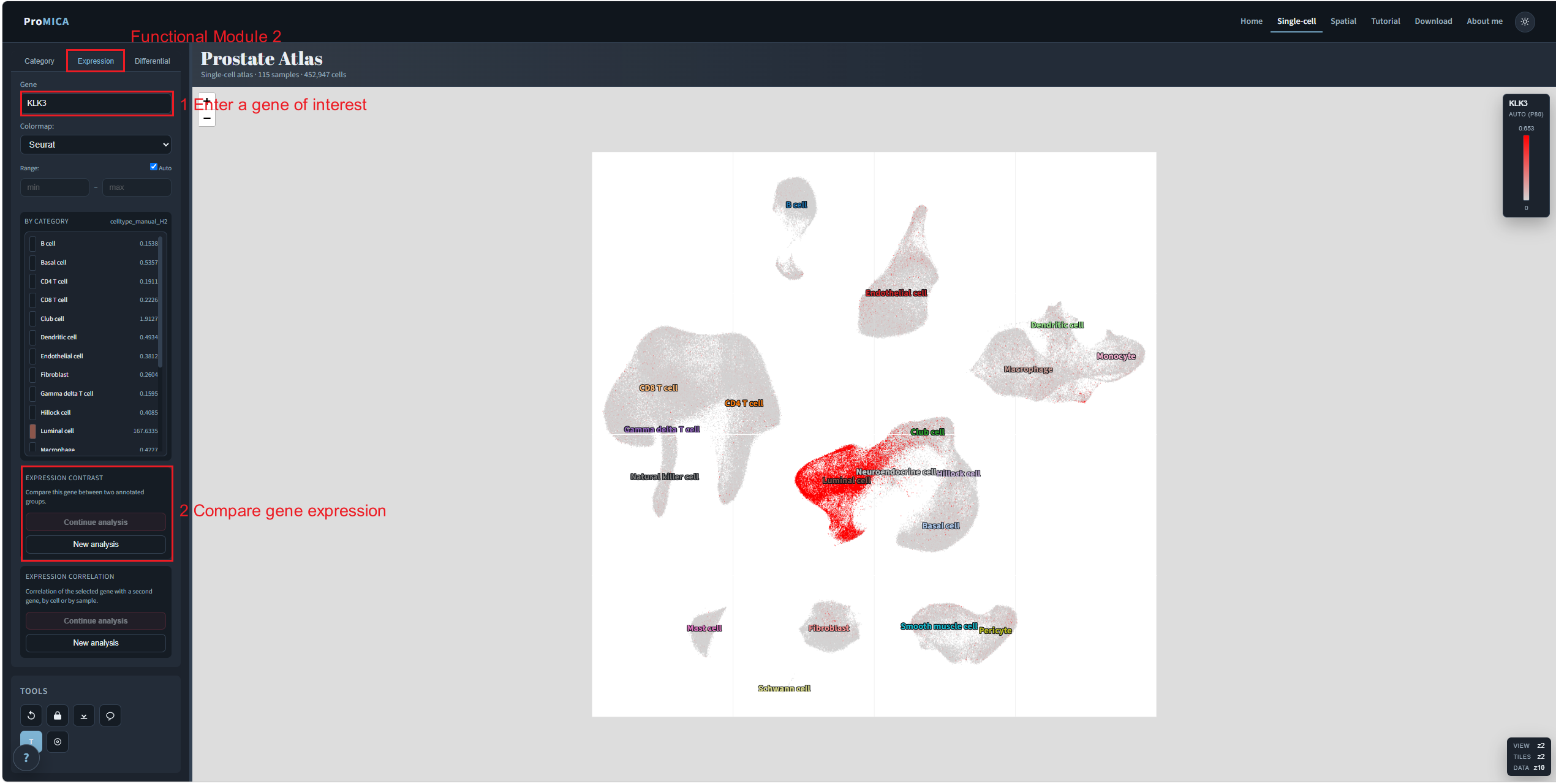Expression tab with gene search and expression contrast marked