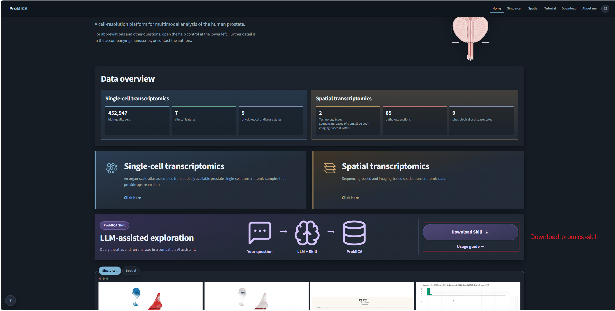 Home page with Download Skill marked on the ProMICA Skill card