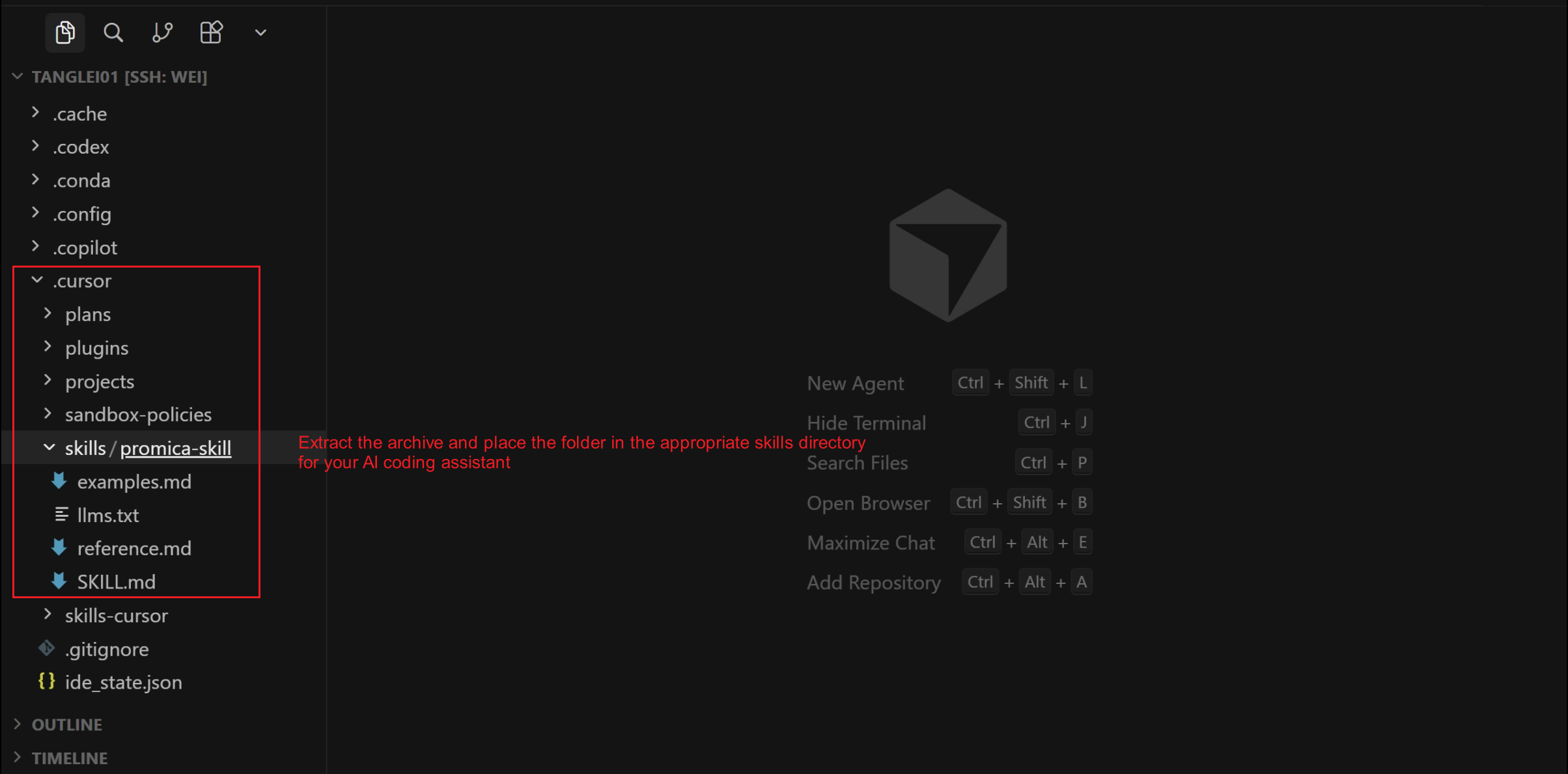 Skills directory containing the extracted promica-skill folder
