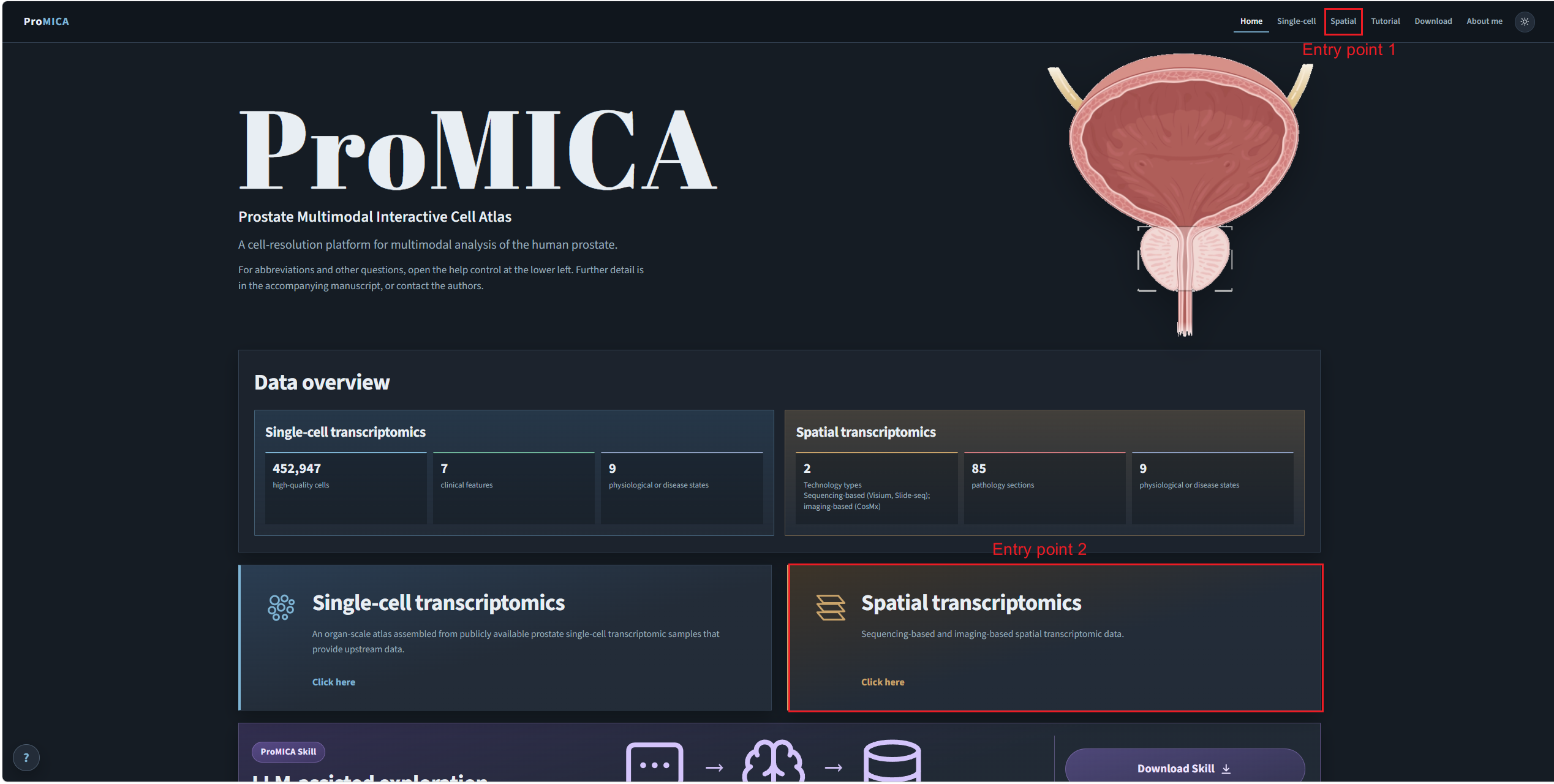 Home page with two marked entry points for the spatial explorer