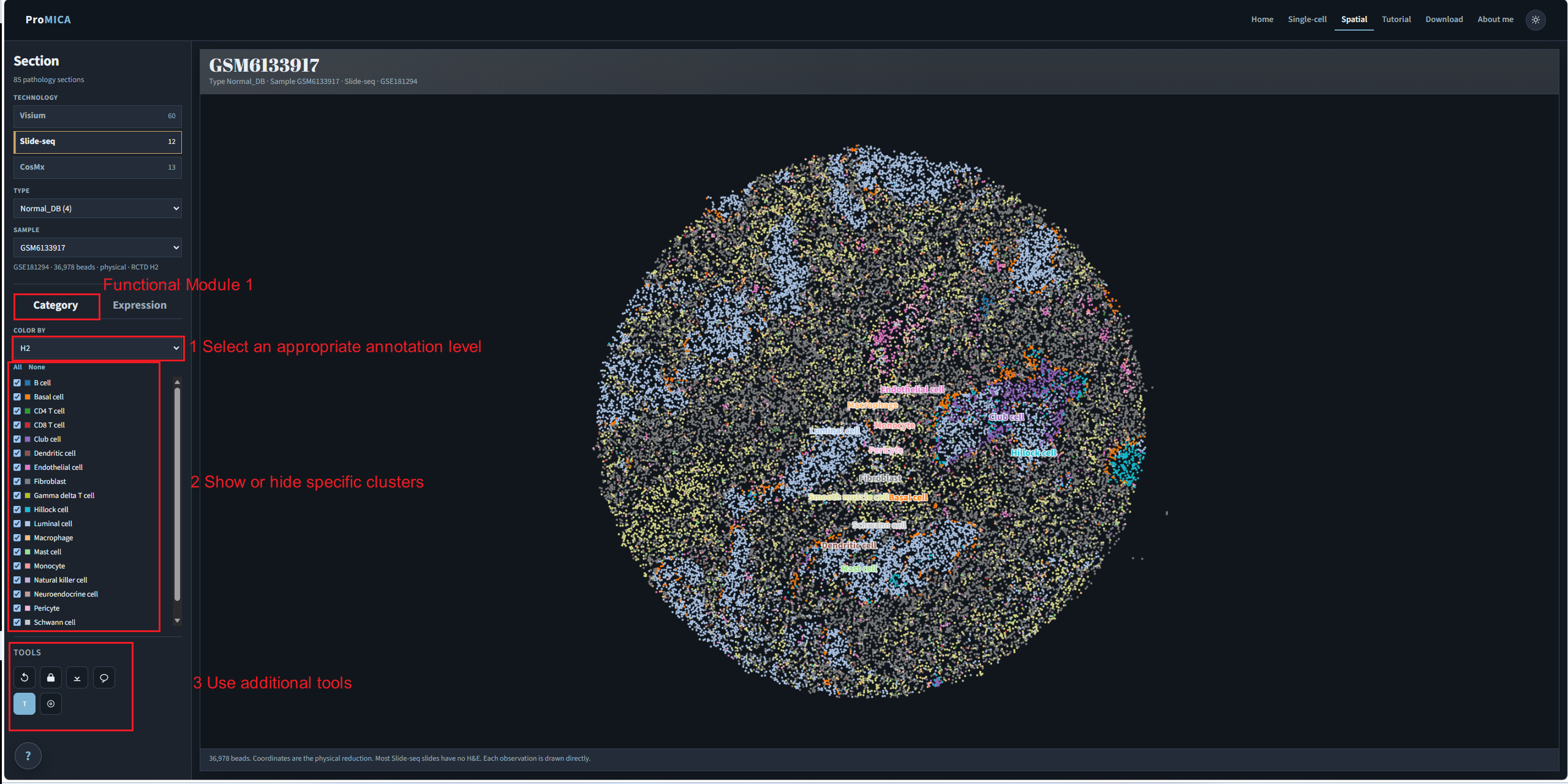Spatial category tab with color-by, cluster list, and tools marked
